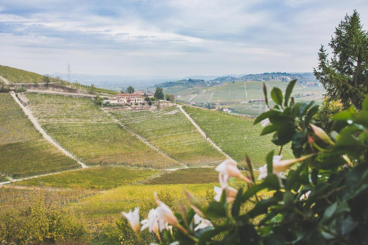 Agriturismo Rivella バルバレスコ エクステリア 写真