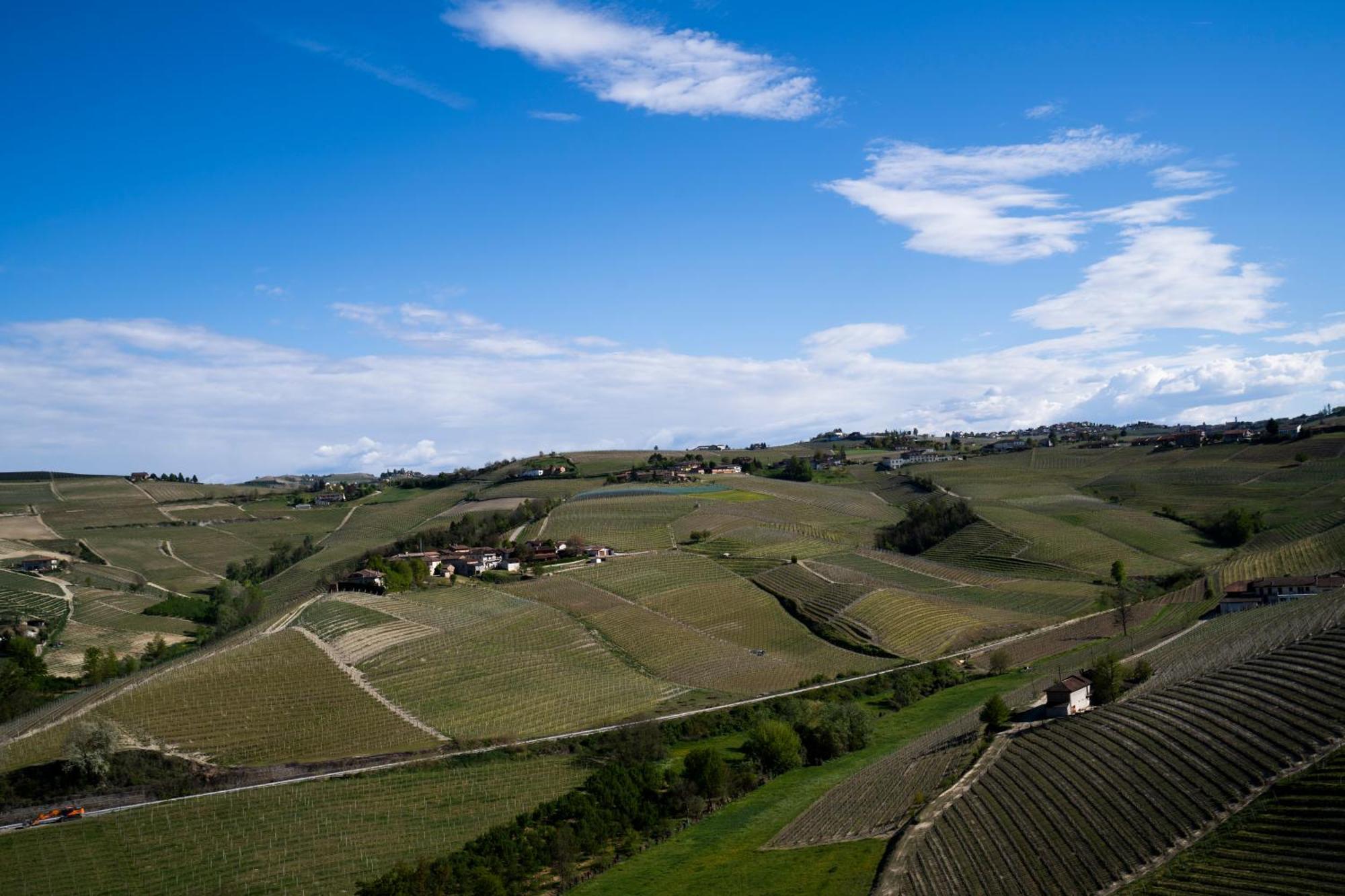Agriturismo Rivella バルバレスコ エクステリア 写真