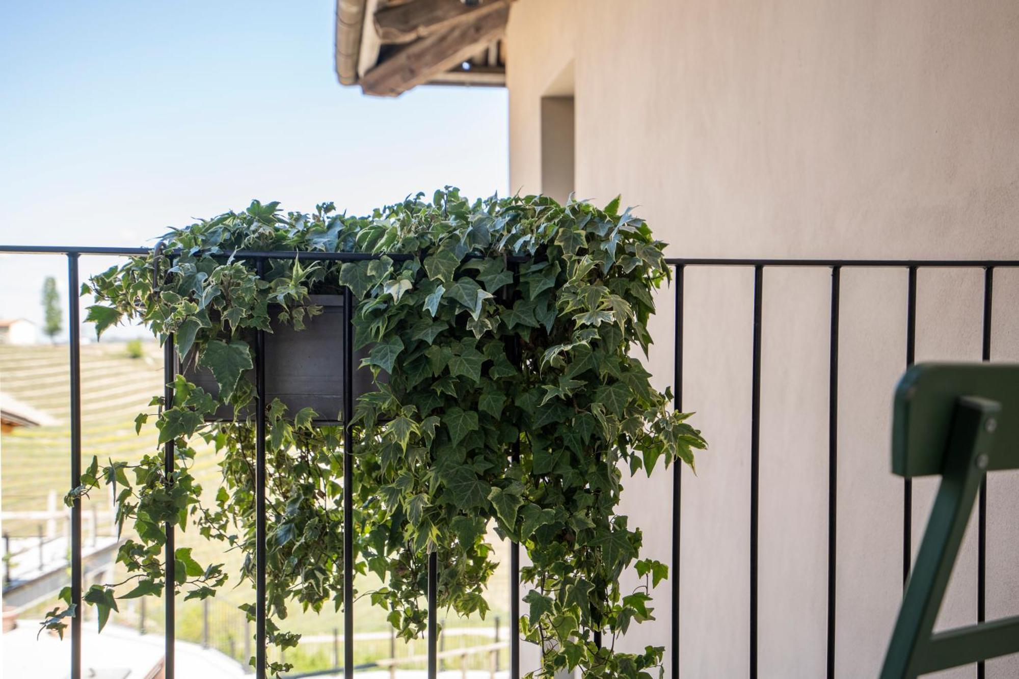 Agriturismo Rivella バルバレスコ エクステリア 写真